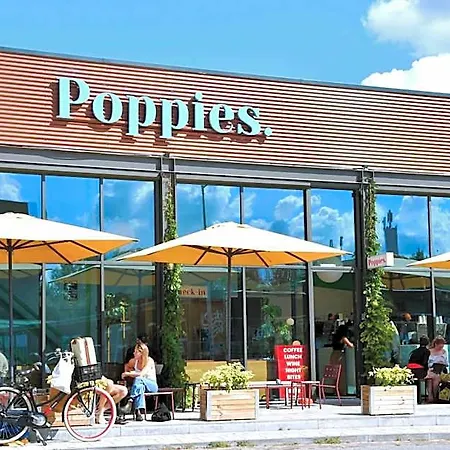 Poppies